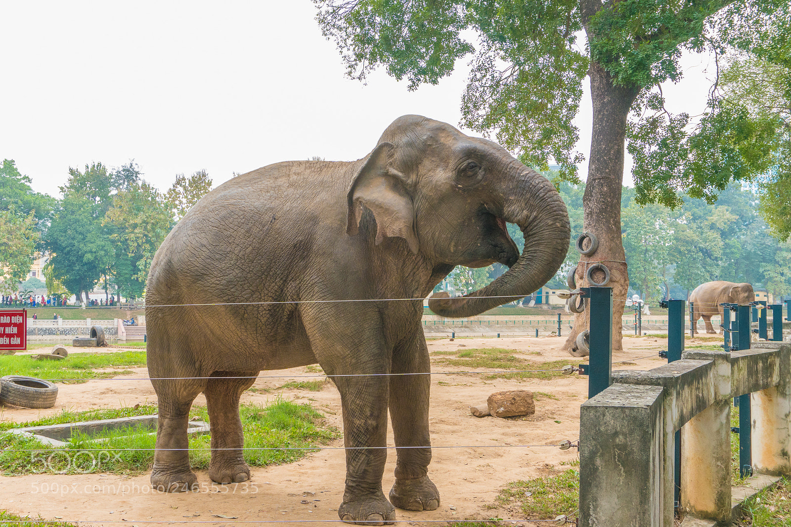 Sony a6300 sample photo. Animals in the zoo photography