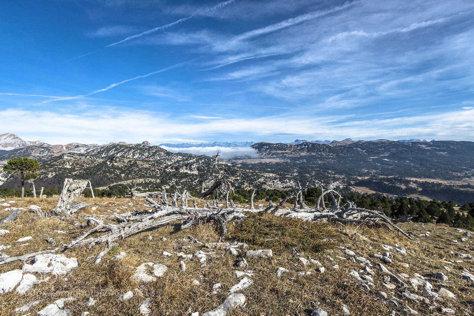 Canon EOS 700D (EOS Rebel T5i / EOS Kiss X7i) sample photo. Vercors photography