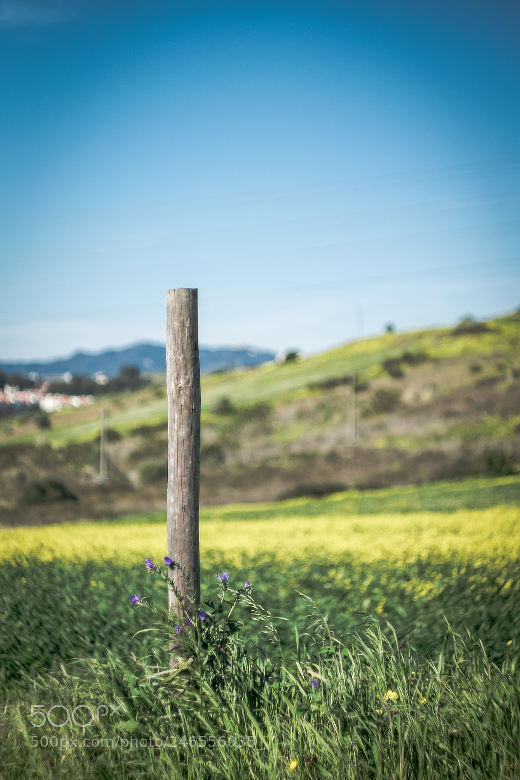 Fujifilm X-E2 sample photo. Solo... photography