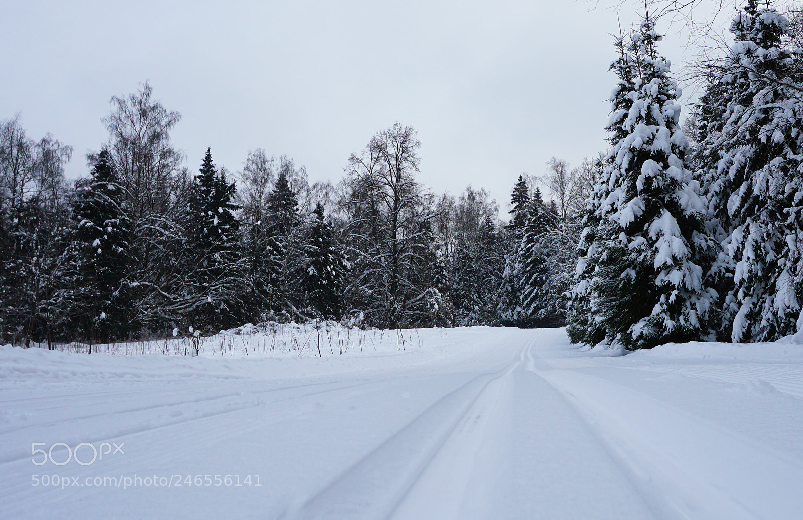 Sony a5100 sample photo. Dsc photography