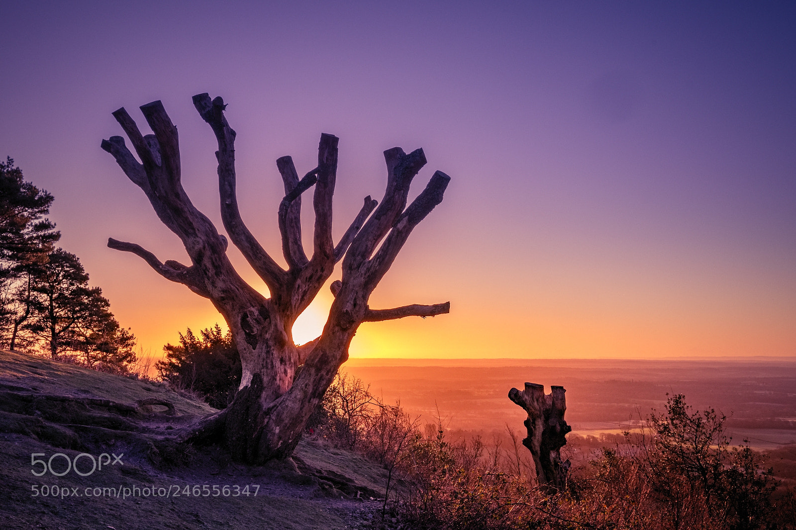 Fujifilm X-T1 sample photo. Sunrise over the weald photography