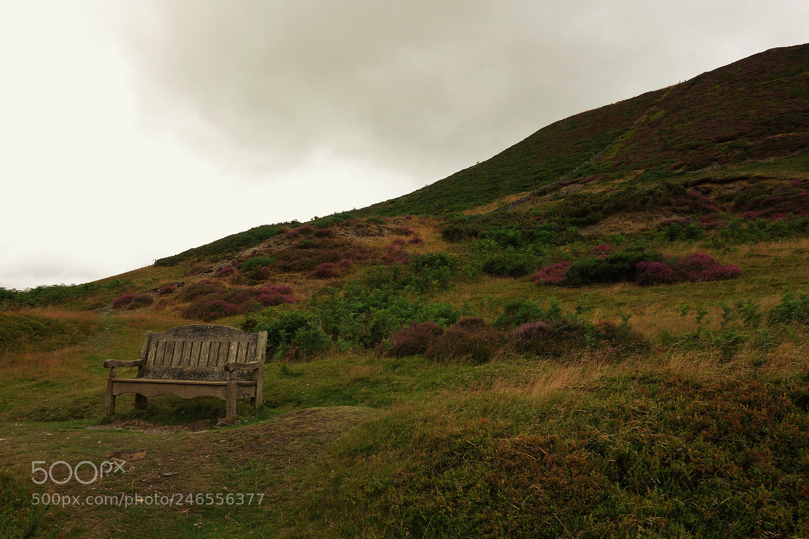 Sony Cyber-shot DSC-RX100 sample photo. Arthur's seat photography
