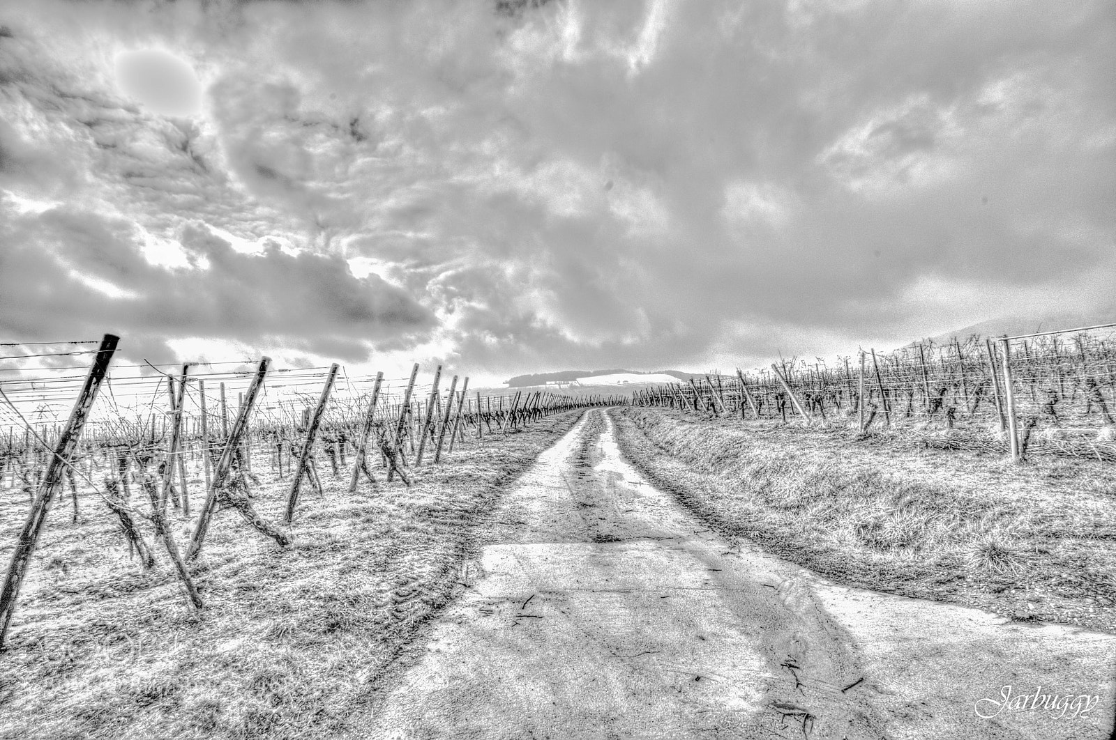 Nikon D7100 sample photo. B/w pastel photography