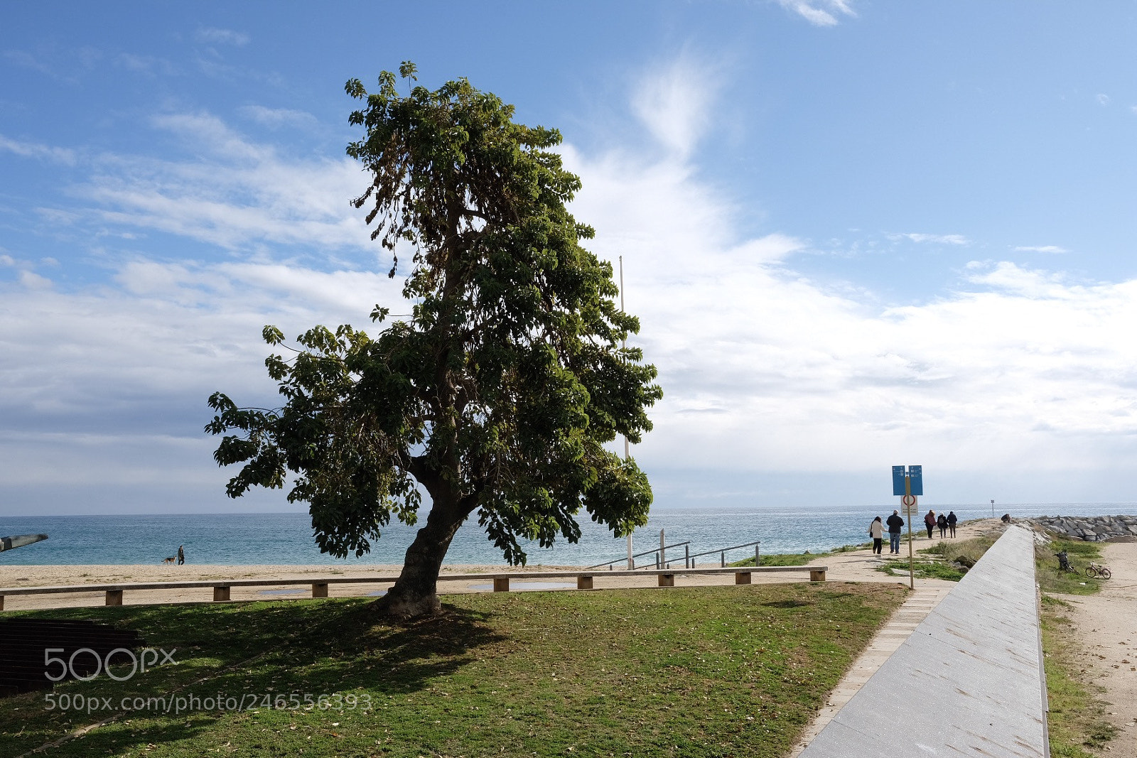 Fujifilm X-Pro2 sample photo. Untitled photography