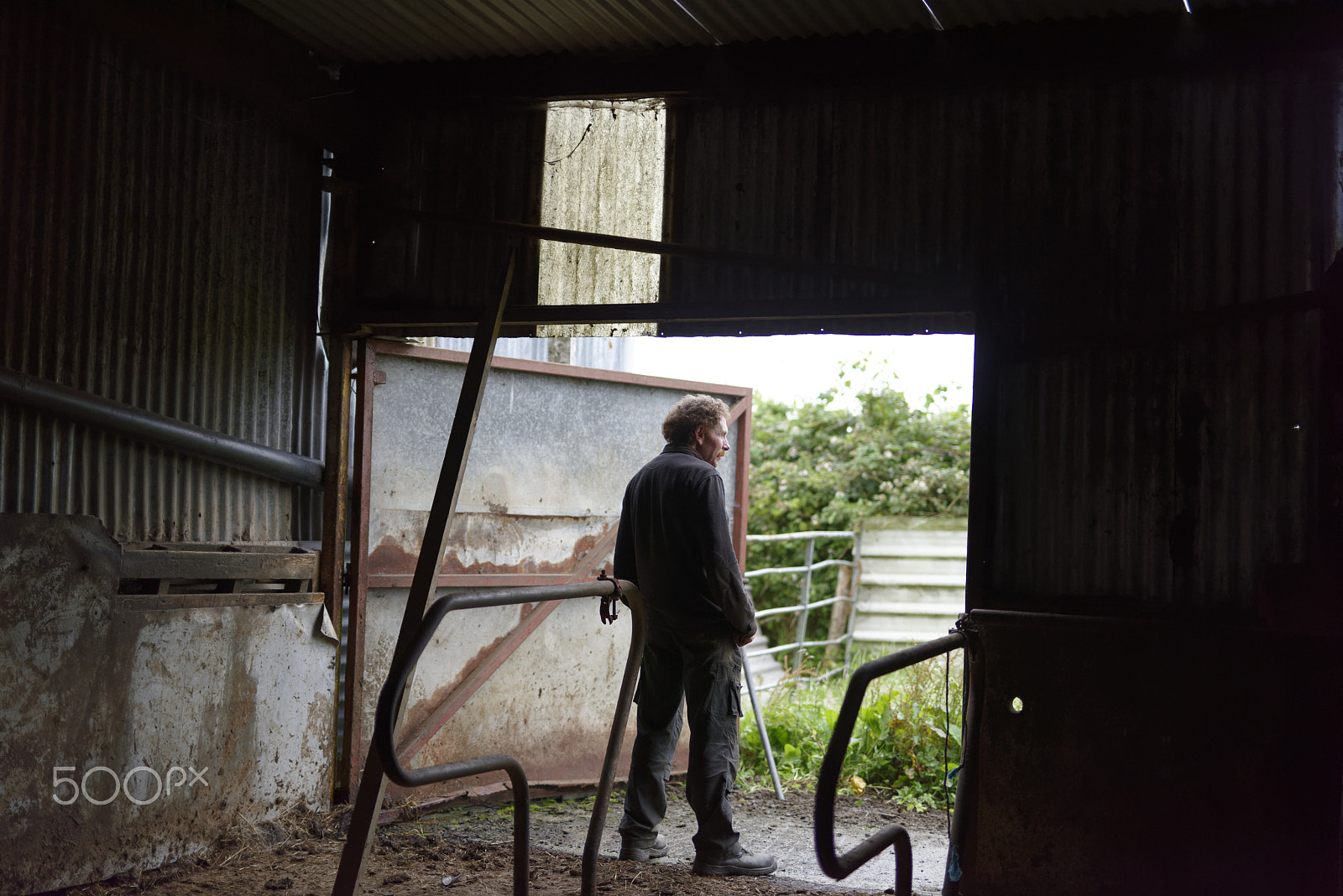 Sigma 50mm F1.4 DG HSM Art sample photo. Pensive farmer photography