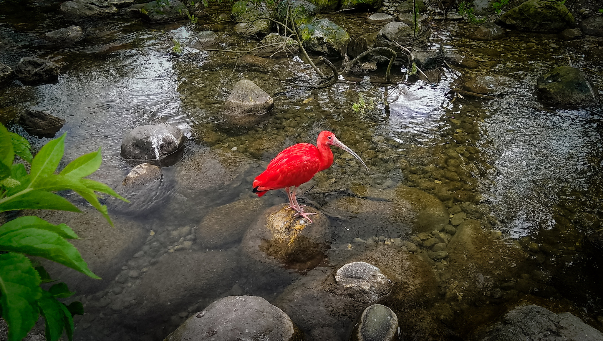 HTC ONE sample photo. Firebird photography