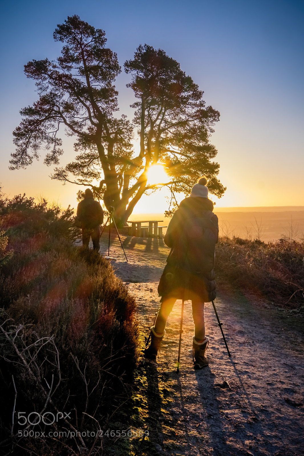 Fujifilm X-T1 sample photo. I was not alone photography