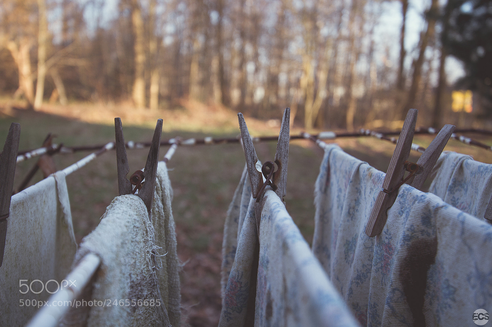 Canon EOS 7D sample photo. Laundry day photography