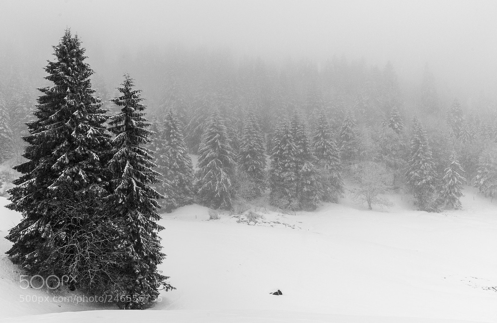 Nikon D610 sample photo. Col de thiaville photography