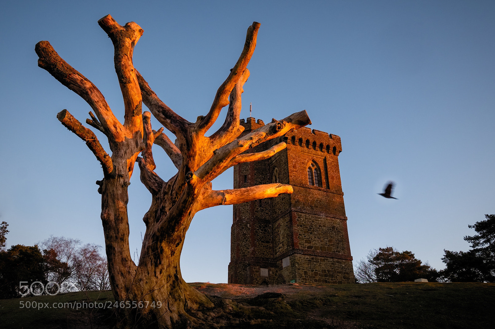 Fujifilm X-T1 sample photo. Dawn hits the tower photography