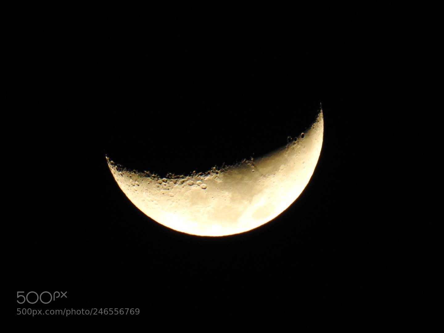 Nikon Coolpix P900 sample photo. Smiling heavens photography