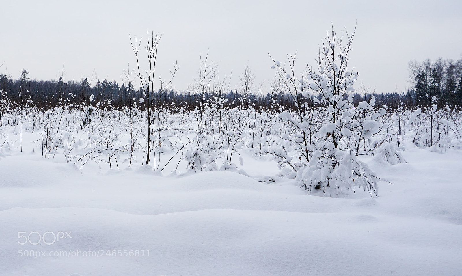 Sony a5100 sample photo. Dsc photography