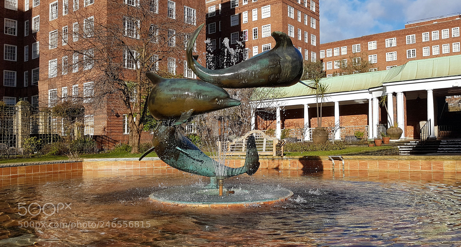 Samsung Galaxy S7 Edge sample photo. Dolphin house photography