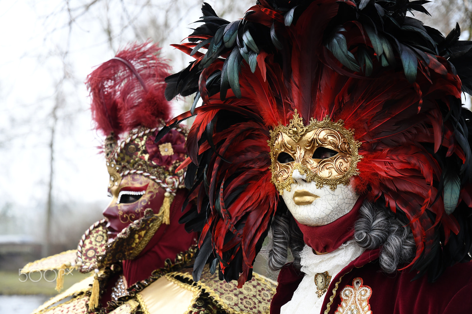 Nikon D500 sample photo. Parade vénitienne au château d'hélécine photography