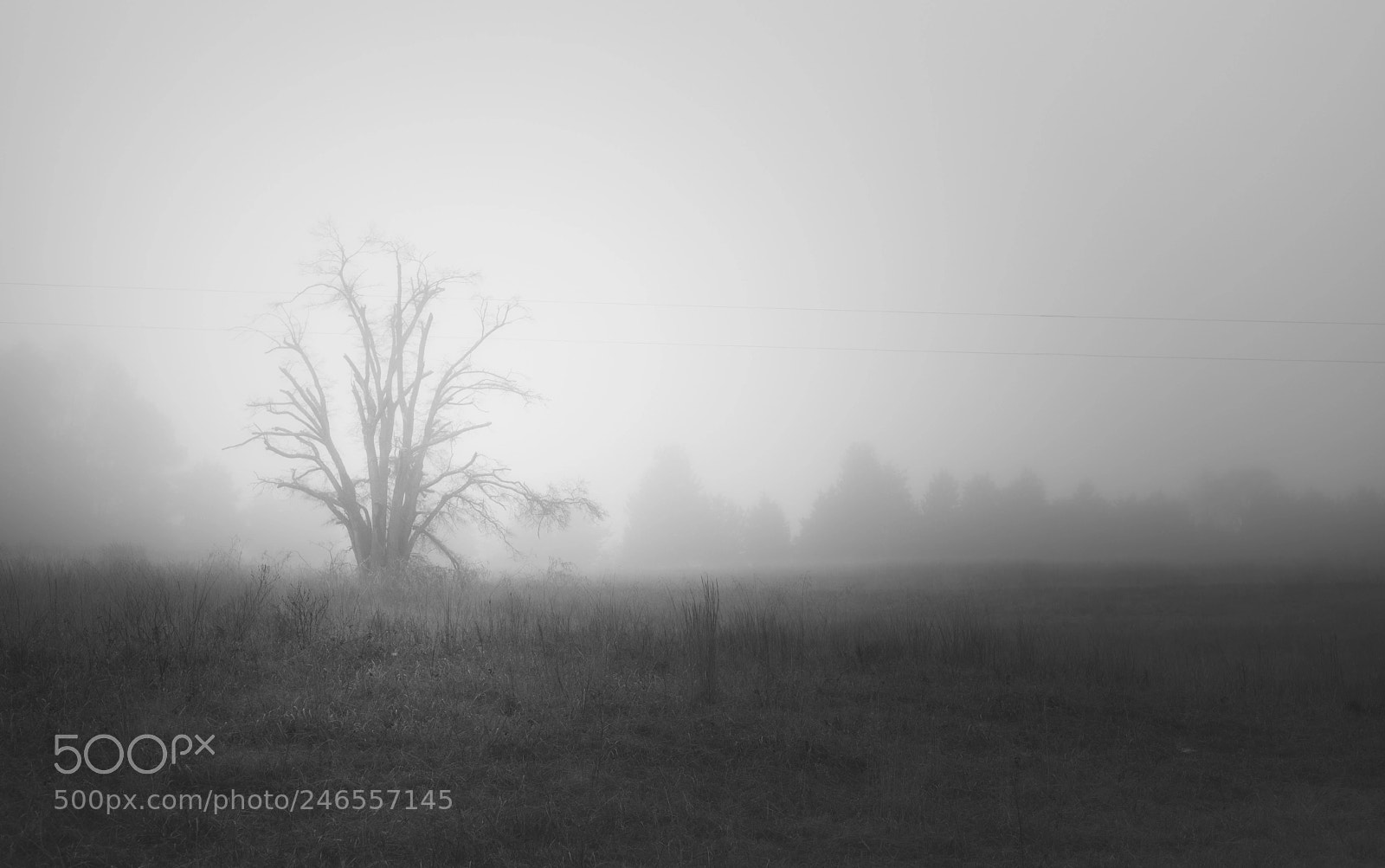 Pentax K-1 sample photo. Fog photography
