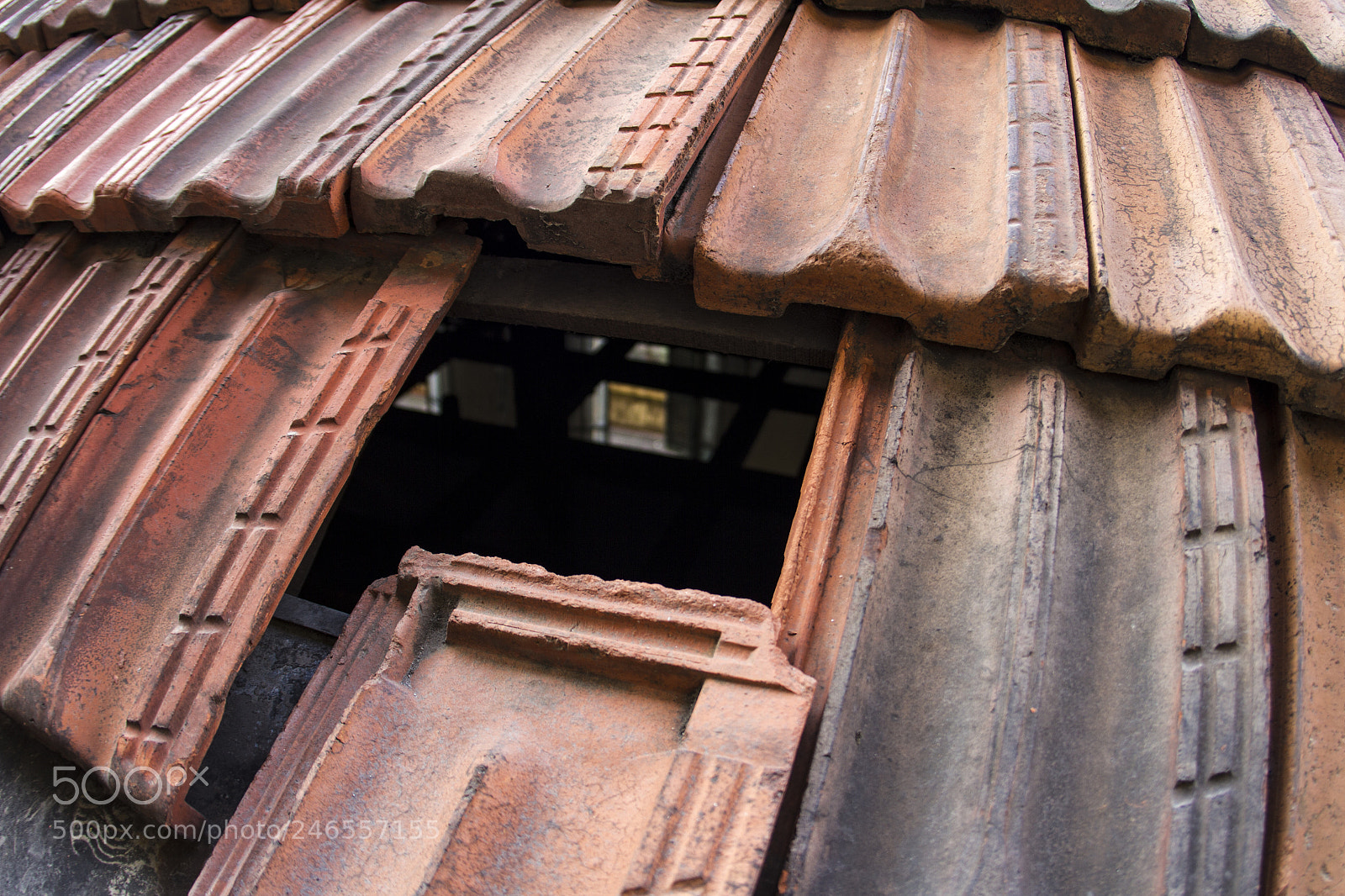 Canon EOS 7D sample photo. Untitled photography