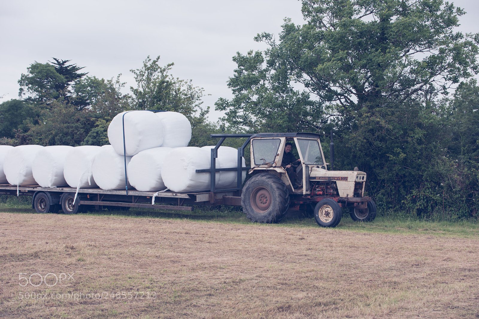 Nikon D810 sample photo. Bringing home the hay photography
