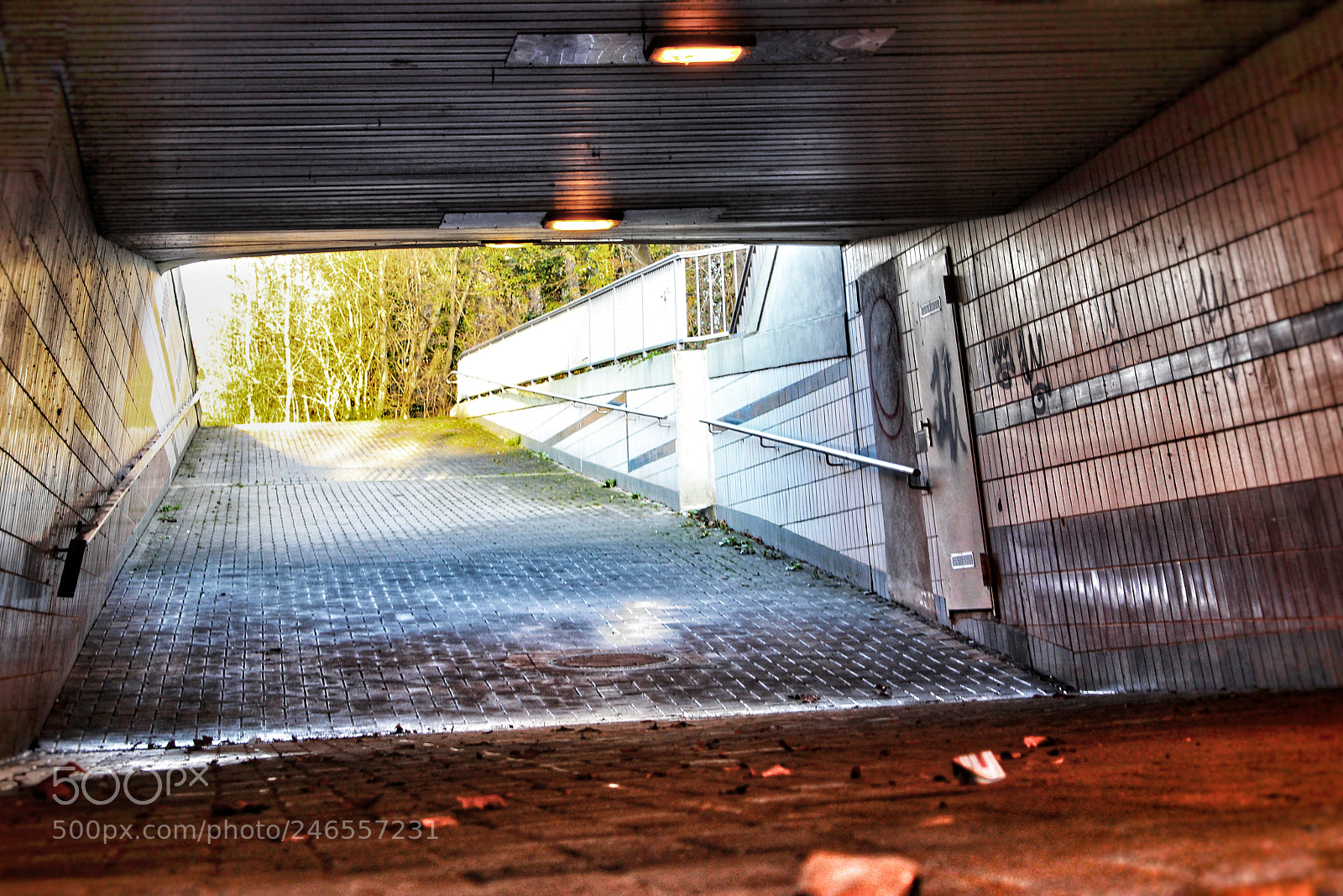 Canon EOS 600D (Rebel EOS T3i / EOS Kiss X5) sample photo. Underground photography