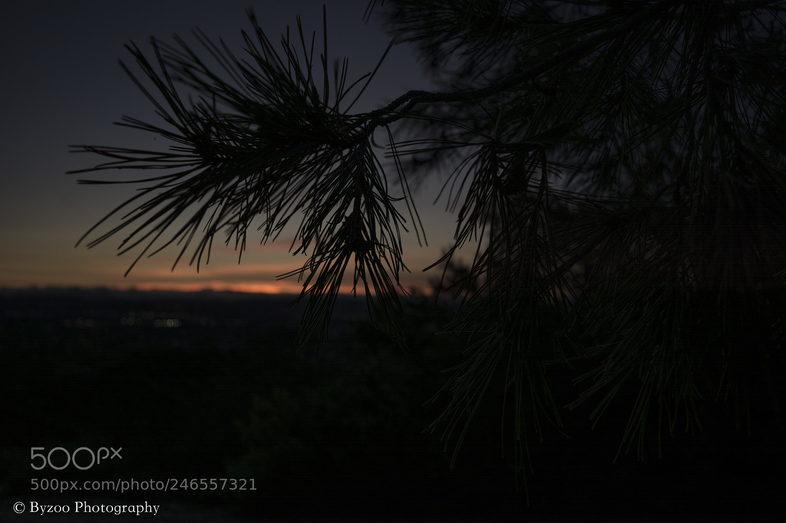 Nikon D7100 sample photo. Winter sunset photography