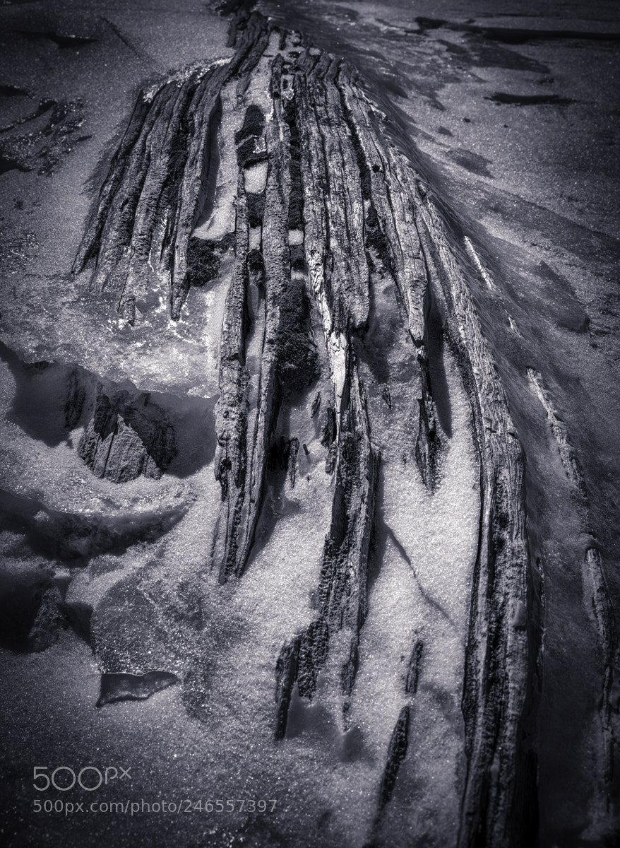 Sony a7R III sample photo. Frozen dead guy photography
