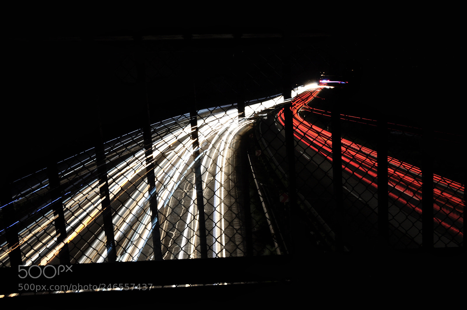 Nikon D90 sample photo. Untitled photography