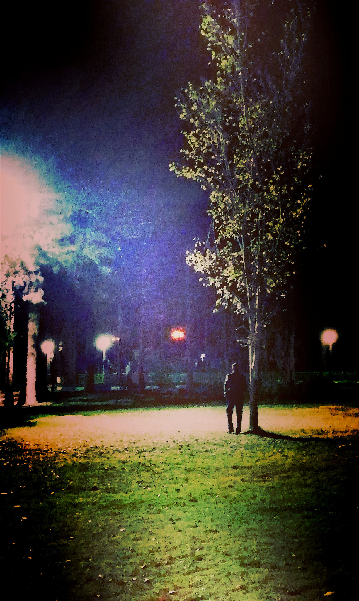 HUAWEI nova 2 Plus sample photo. Alone in the park ... photography
