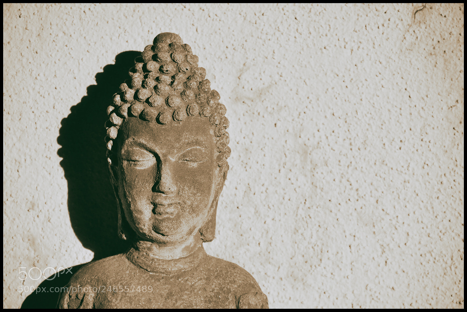 Nikon D90 sample photo. Z e n photography
