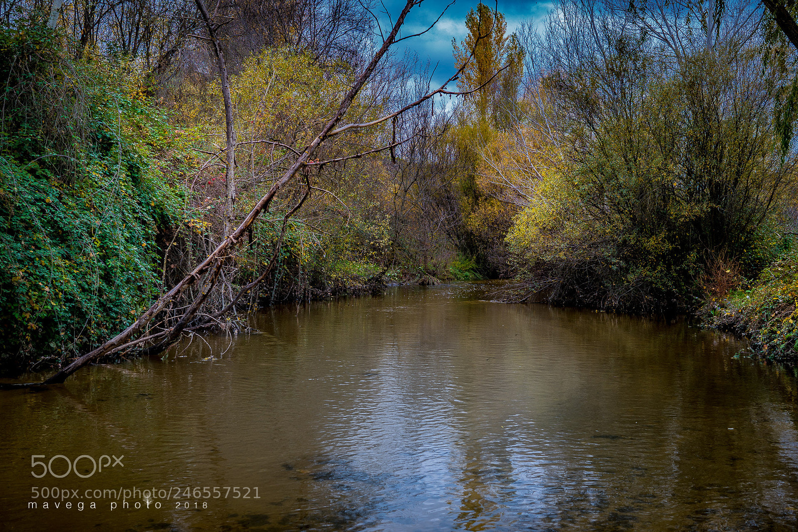 Sony a6300 sample photo. Nature photography