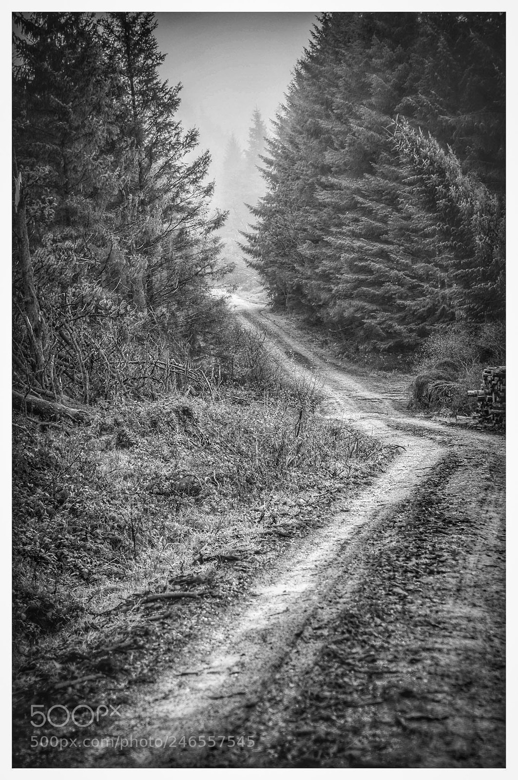 Nikon D300 sample photo. Mountain road photography