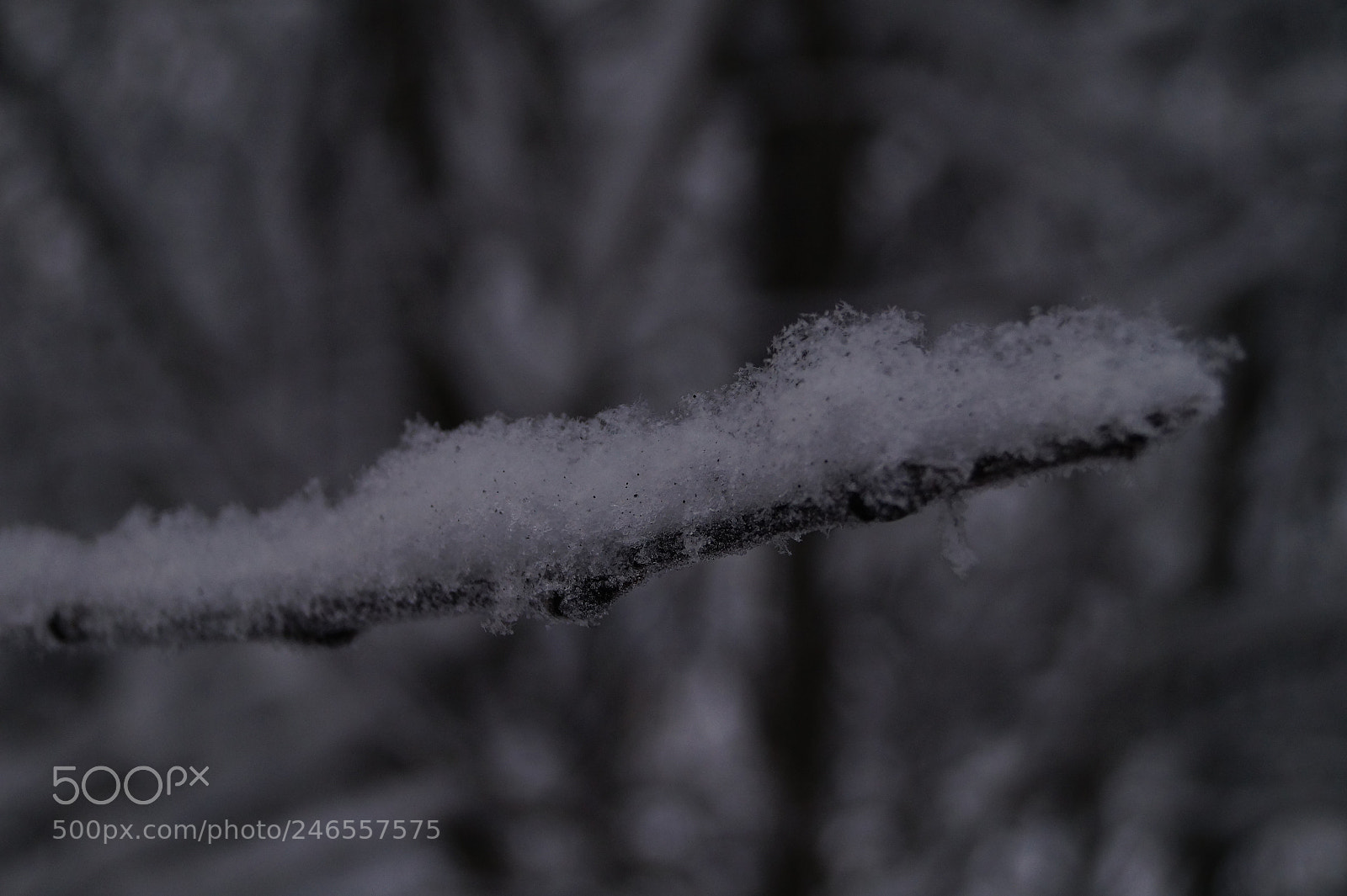 Sony SLT-A58 sample photo. Murmansk photography