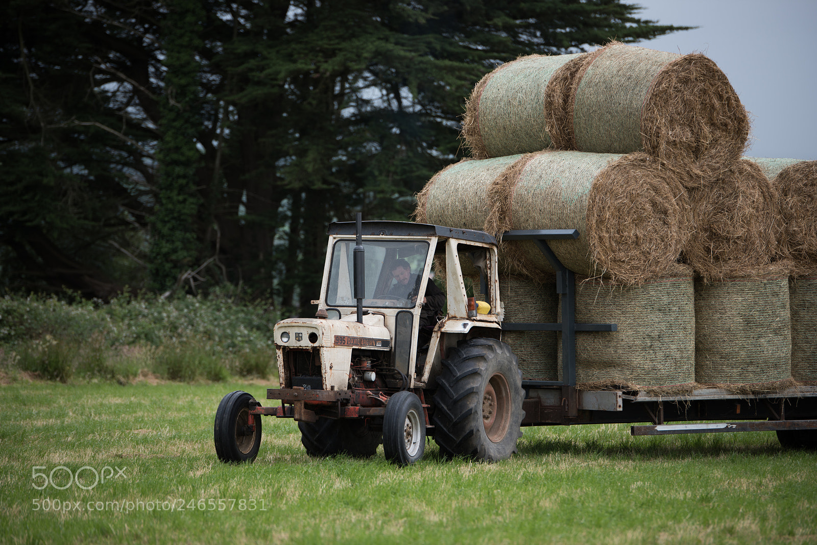 Nikon D810 sample photo. Farmer collecting the hay photography