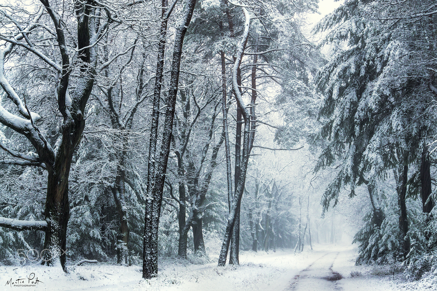 Sony a5100 sample photo. A white world photography