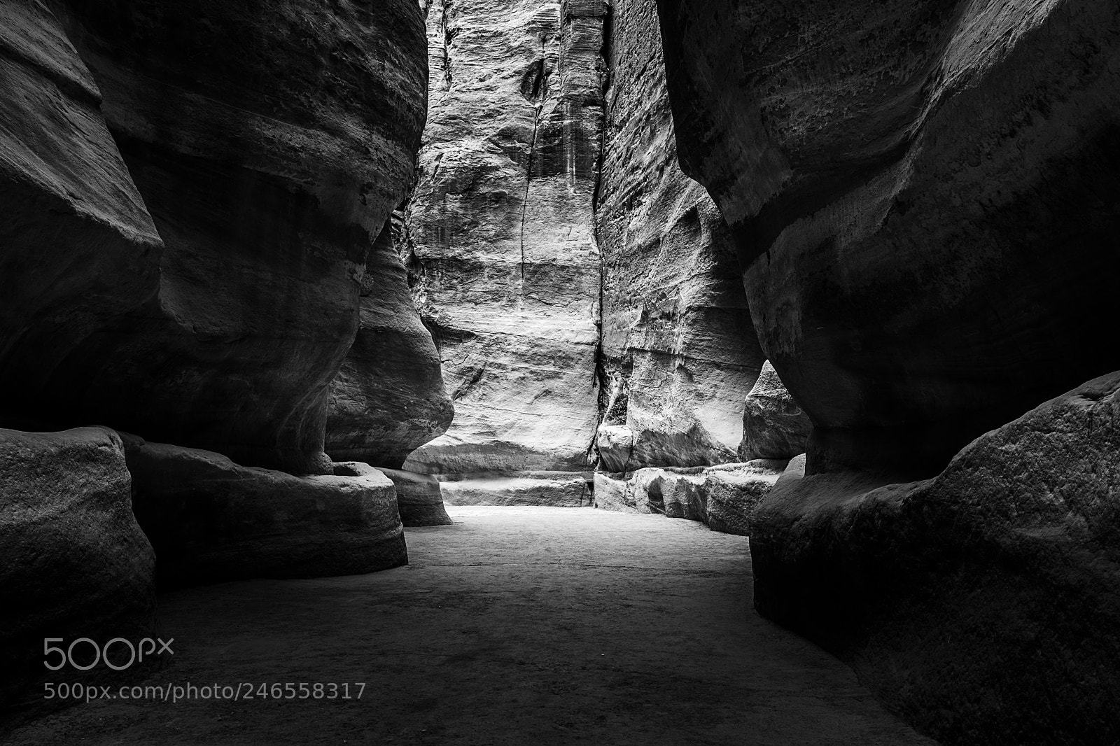 Sony ILCA-77M2 sample photo. The siq photography