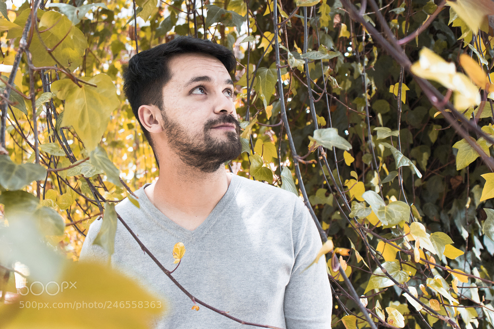 Canon EOS 800D (EOS Rebel T7i / EOS Kiss X9i) sample photo. Jardín botánico photography