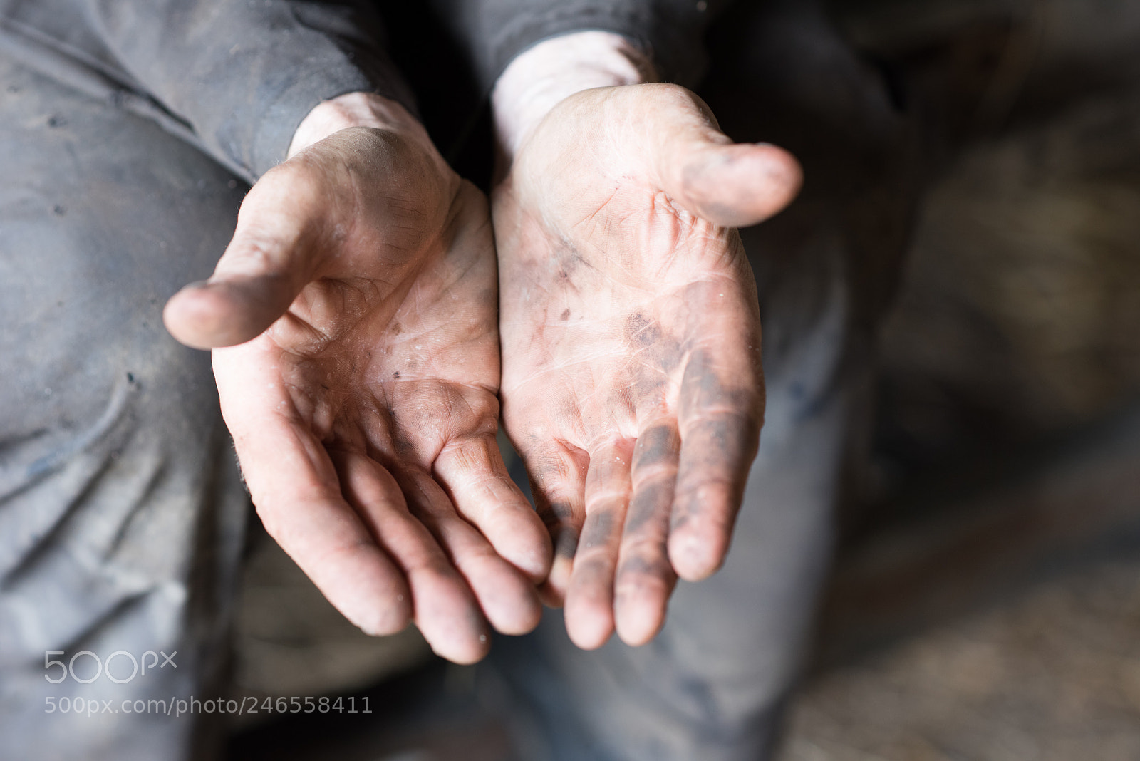 Nikon D810 sample photo. Farmers hands photography