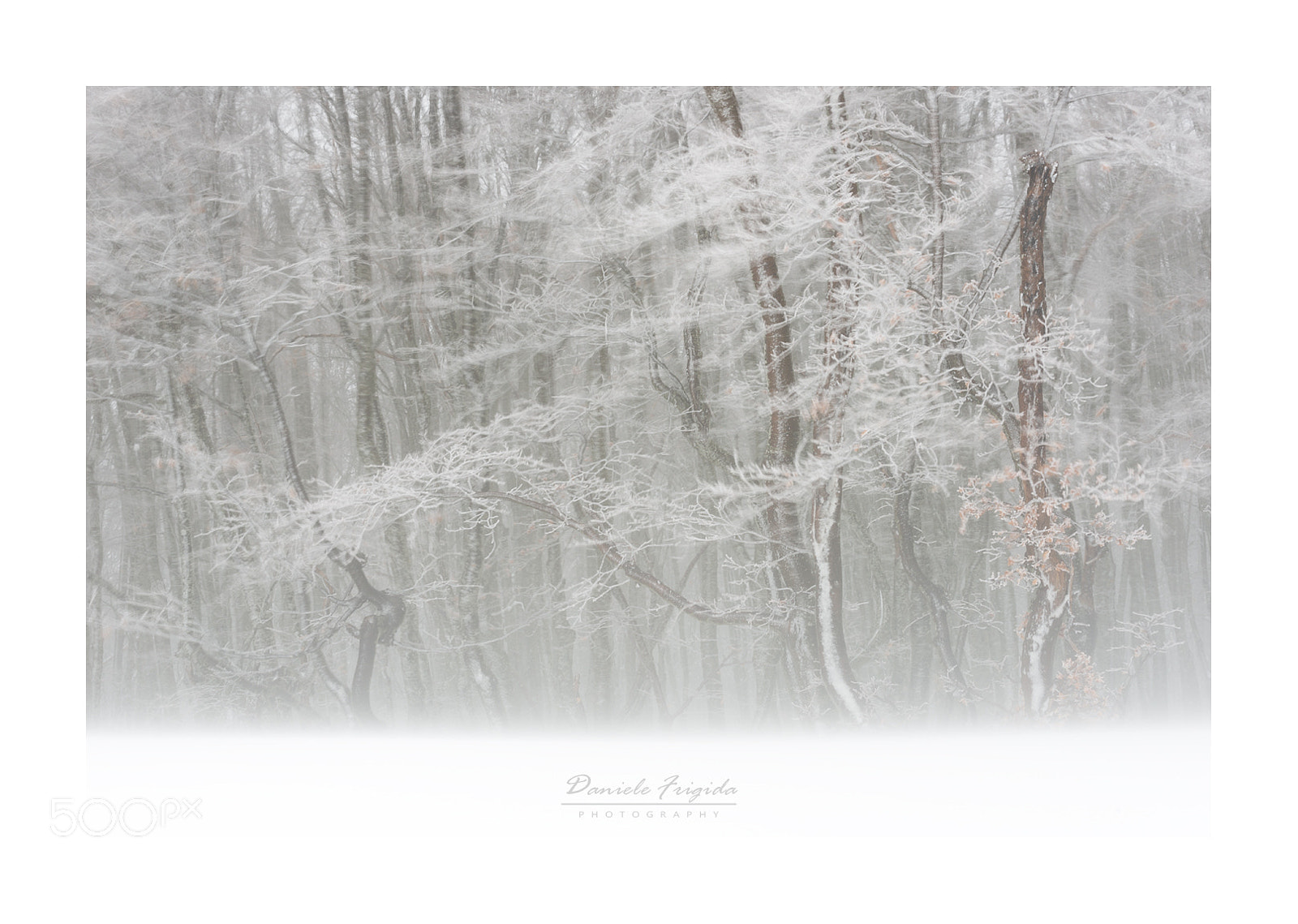 Nikon D610 sample photo. Winter's fury photography