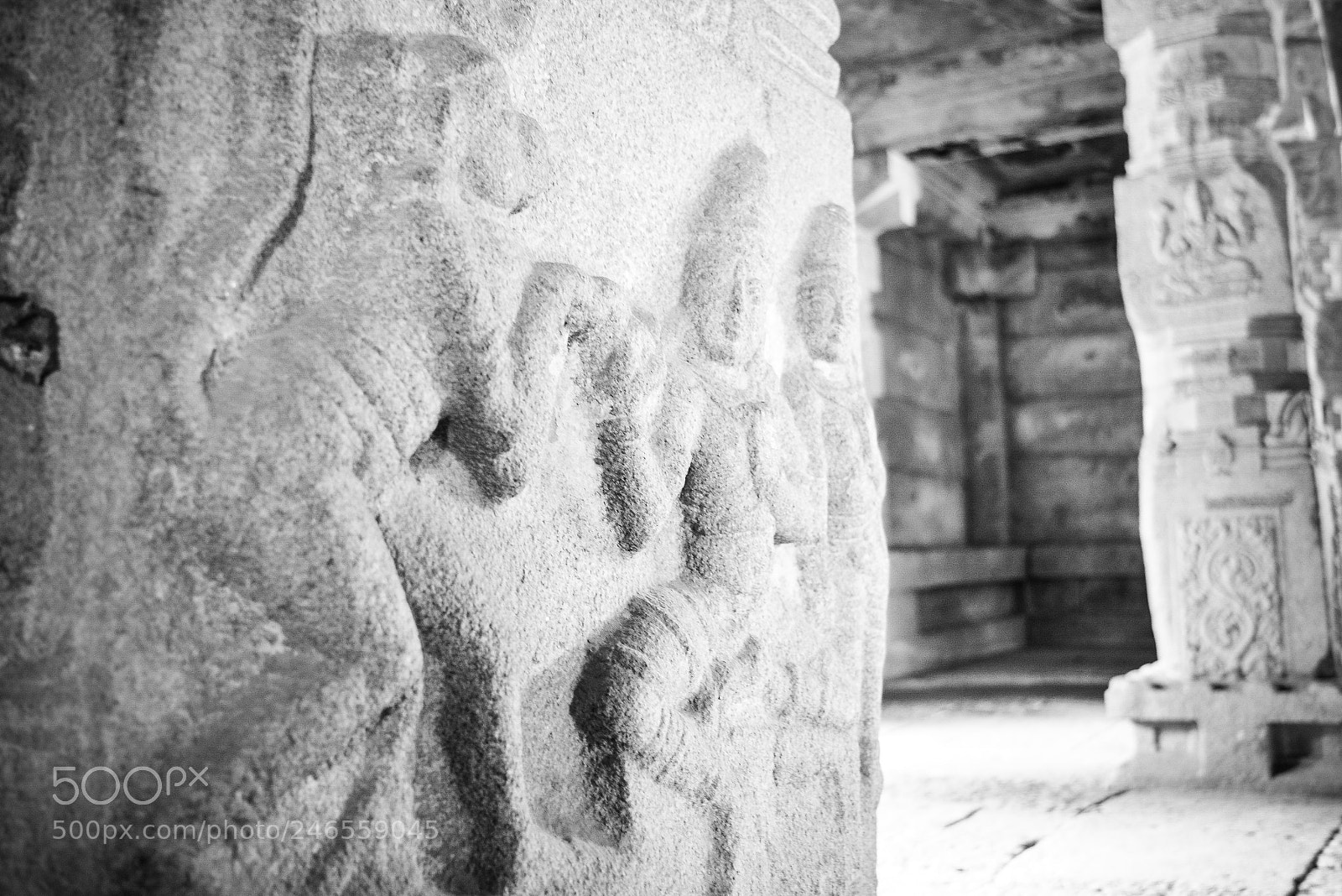 Nikon D5200 sample photo. When gods propose photography