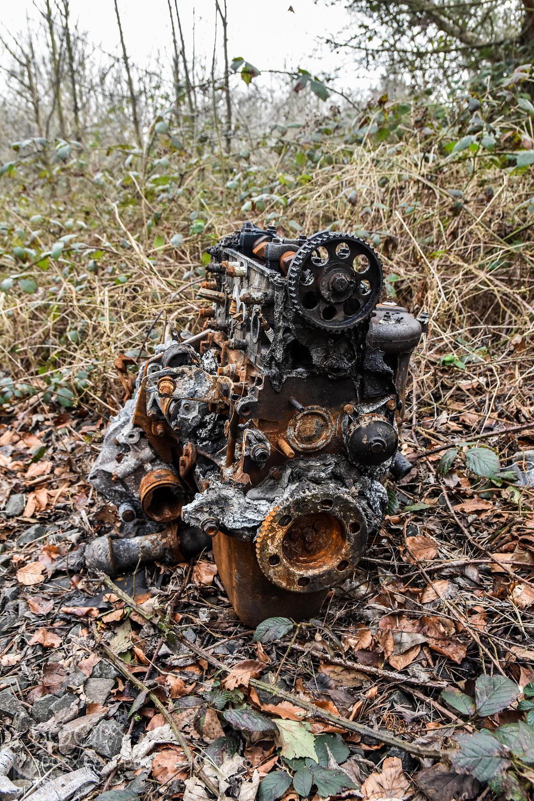 Nikon D7200 sample photo. Lambton etc photography