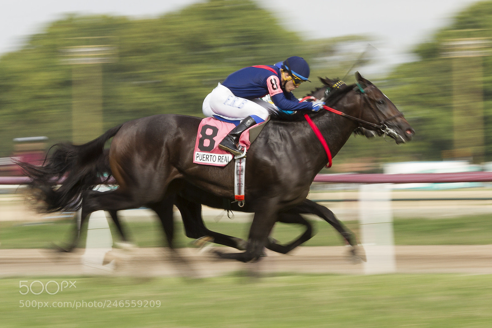 Canon EOS 7D sample photo. Por una cabeza photography
