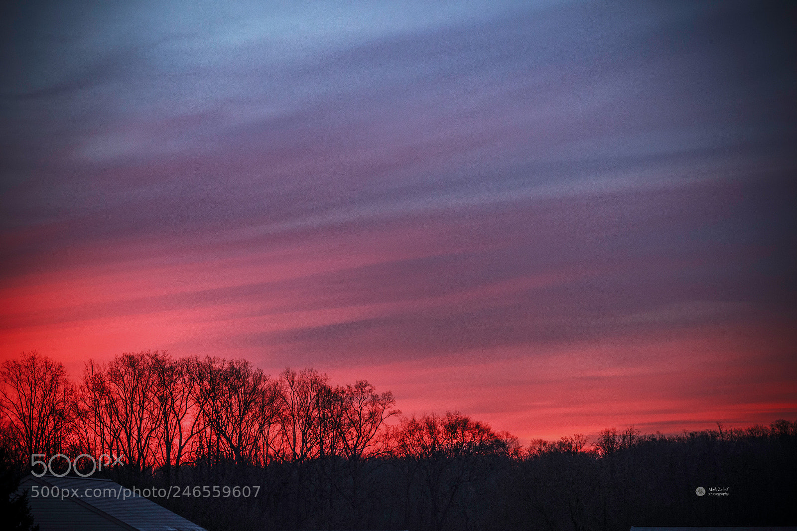Canon EOS 600D (Rebel EOS T3i / EOS Kiss X5) sample photo. February morning photography