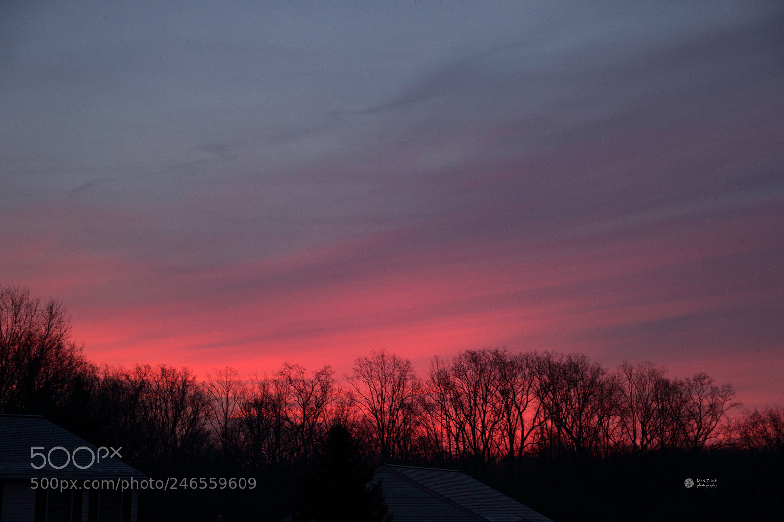 Canon EOS 600D (Rebel EOS T3i / EOS Kiss X5) sample photo. February morning photography