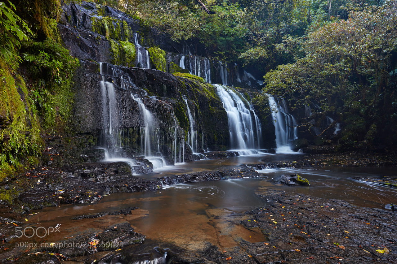 Canon EOS 5DS R sample photo. Purakaunui photography