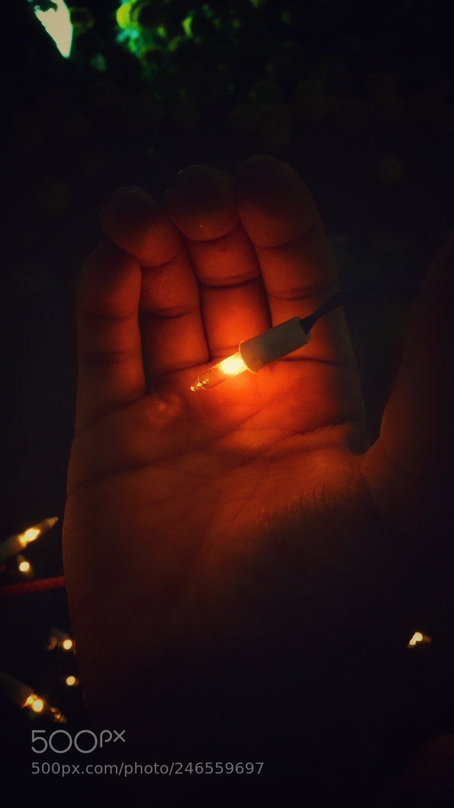 Sony Xperia X sample photo. Untitled photography
