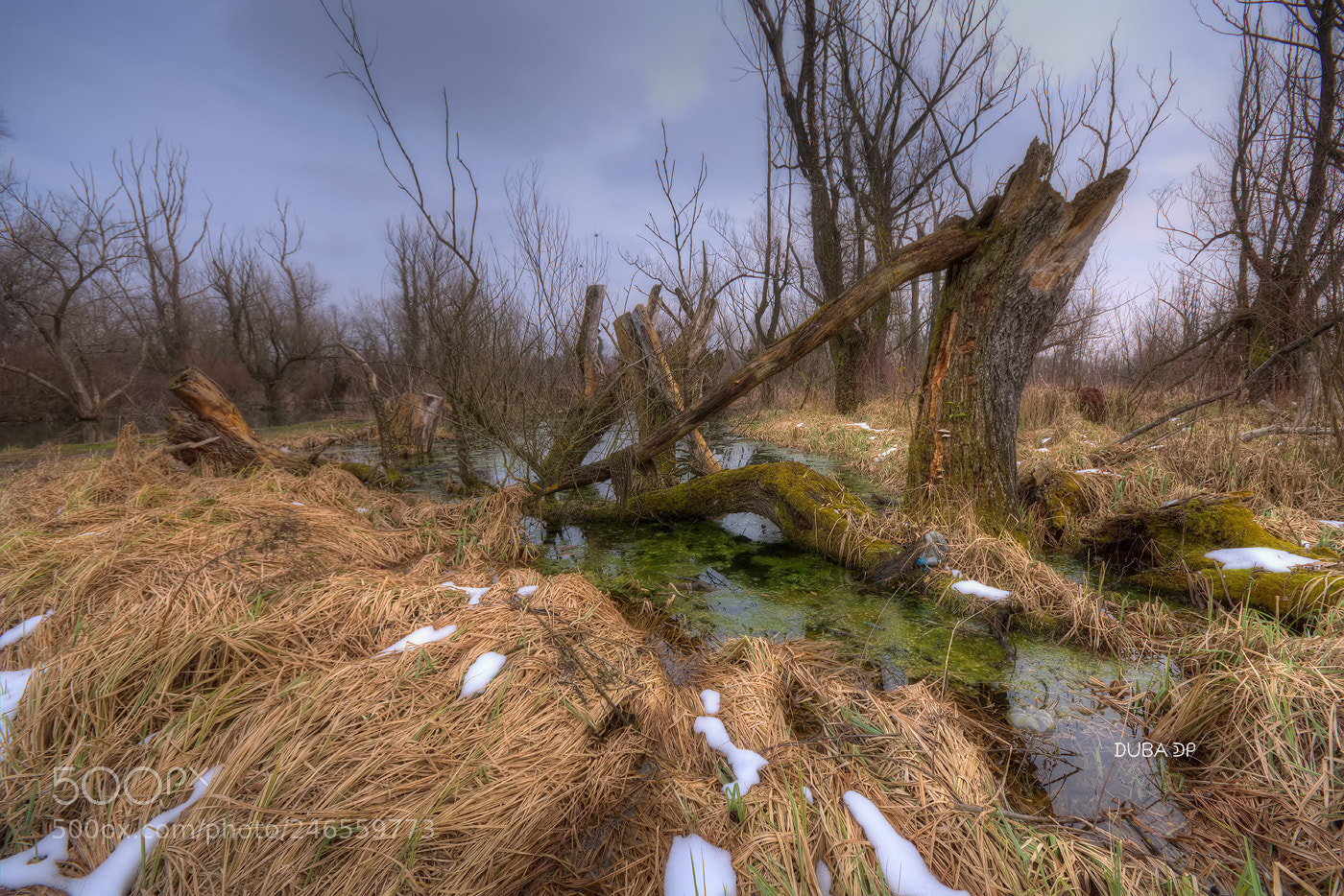 Nikon D7200 sample photo. Snow remains photography