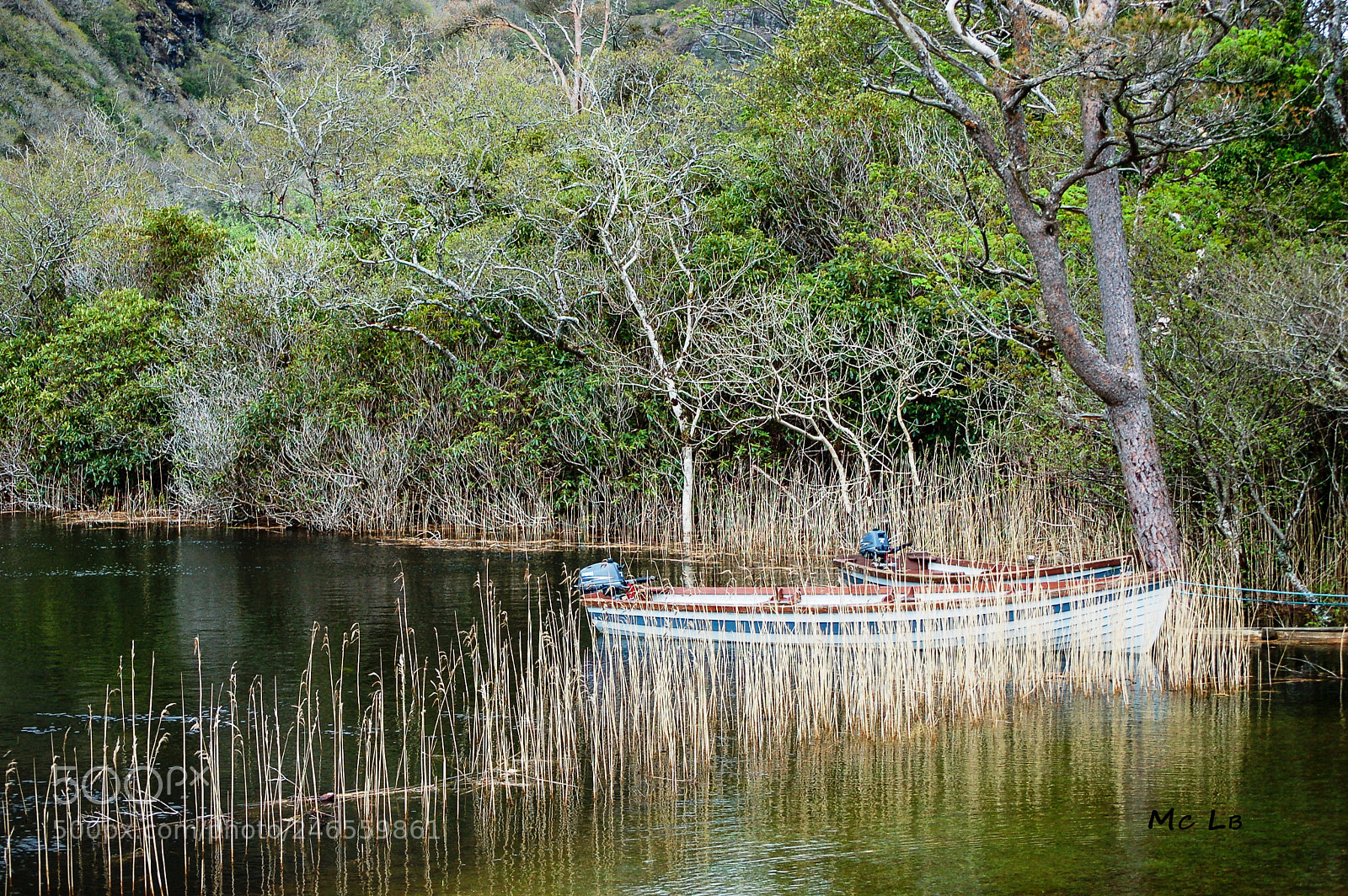 Nikon D50 sample photo. Kylemore abbey lake photography
