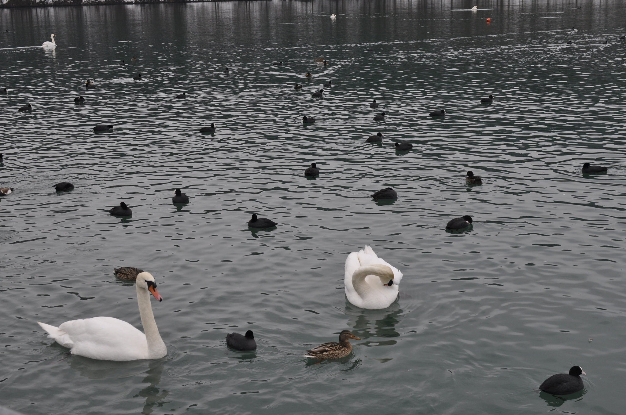 Nikon AF-S DX Nikkor 35mm F1.8G sample photo. Lake photography