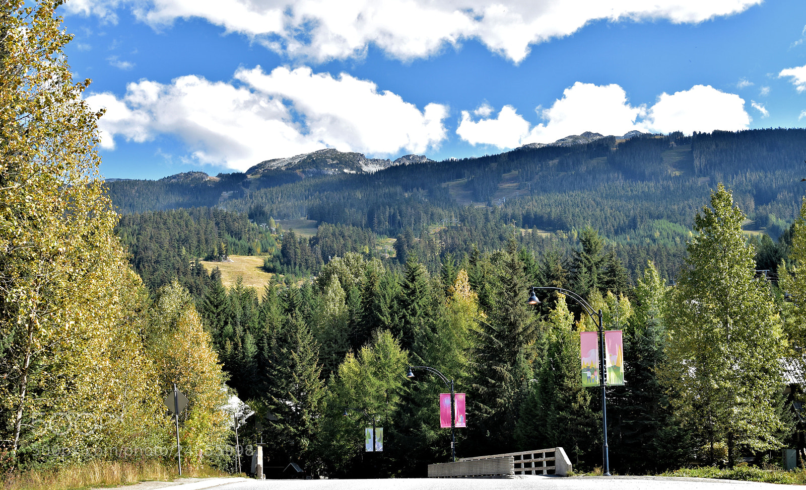 Nikon D5500 sample photo. Whistler2 photography