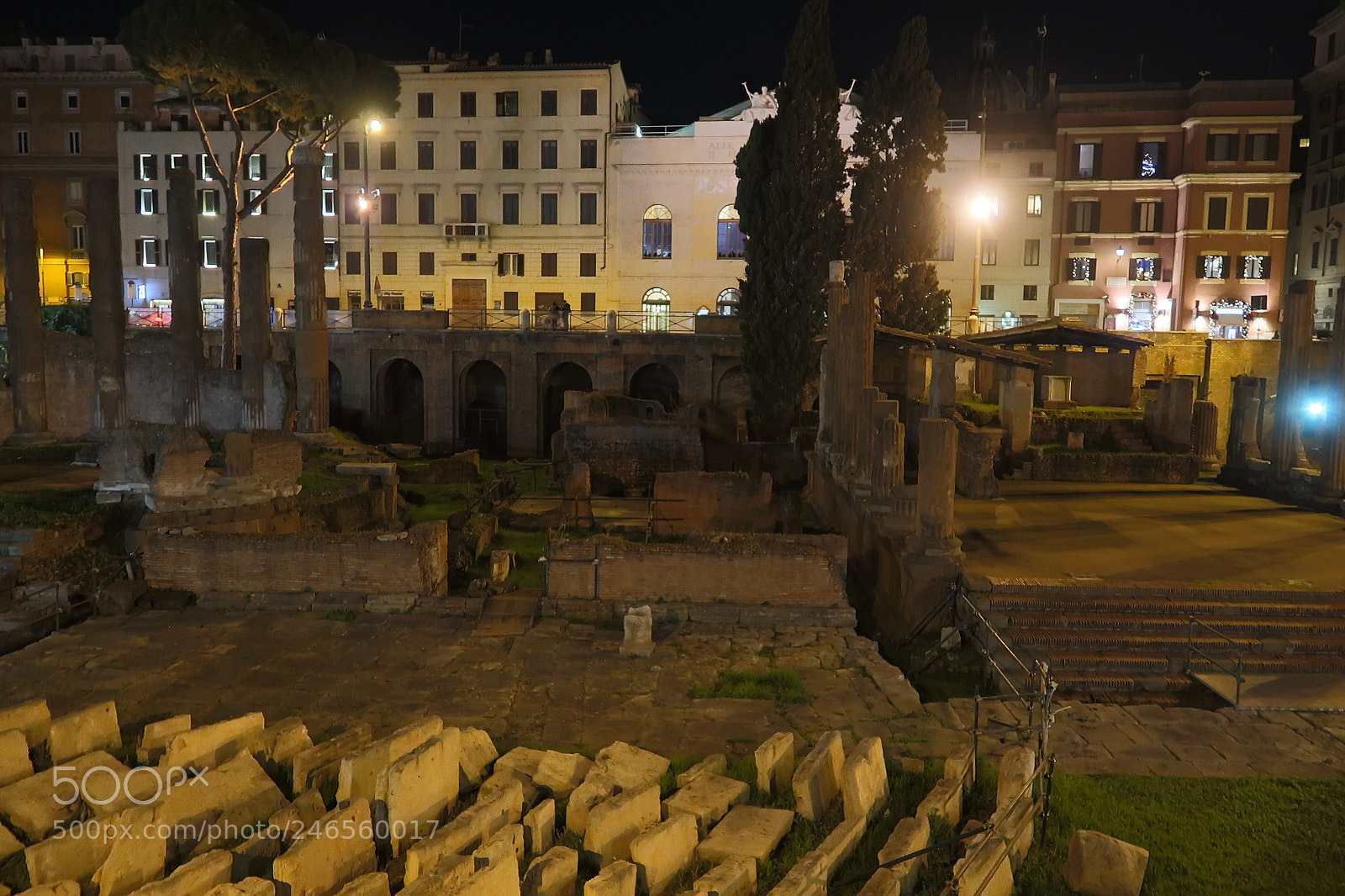 Canon PowerShot G7 X Mark II sample photo. Largo di torre argentina photography