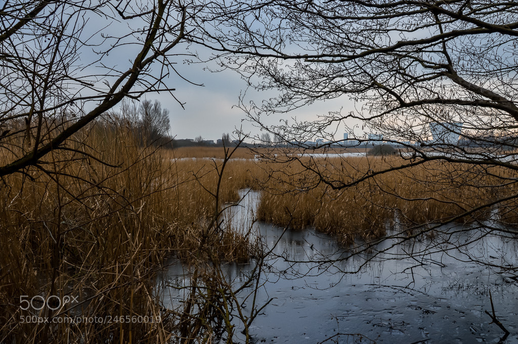 Nikon D3200 sample photo. The freezing lake photography