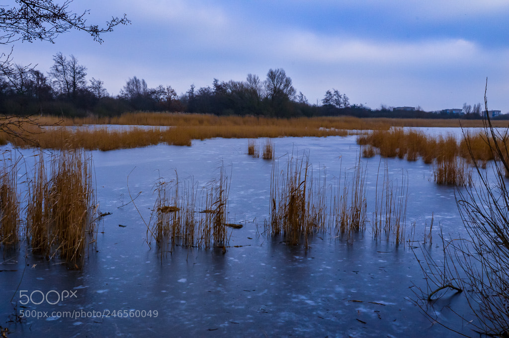 Nikon D3200 sample photo. Frozen lake photography